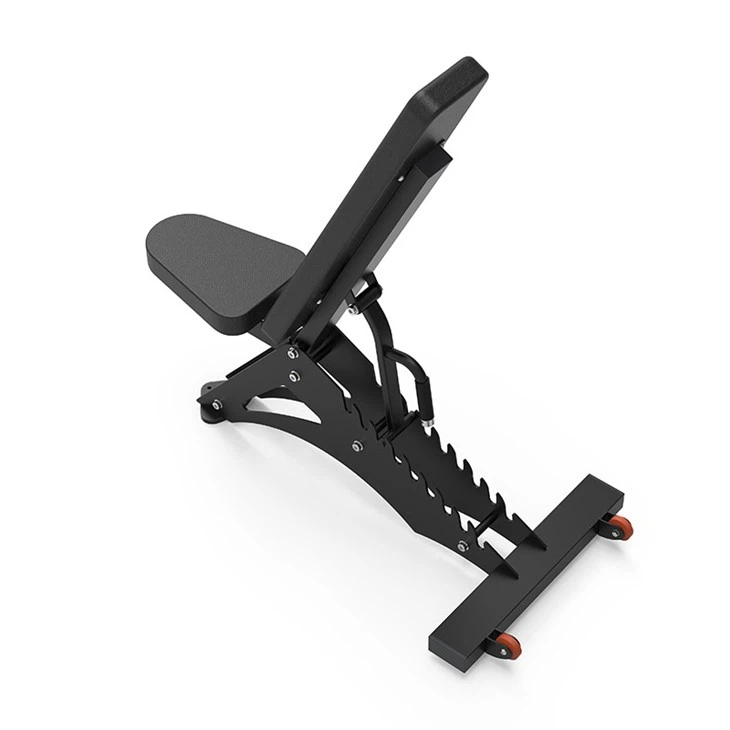 Adjustable Dumbbell Bench